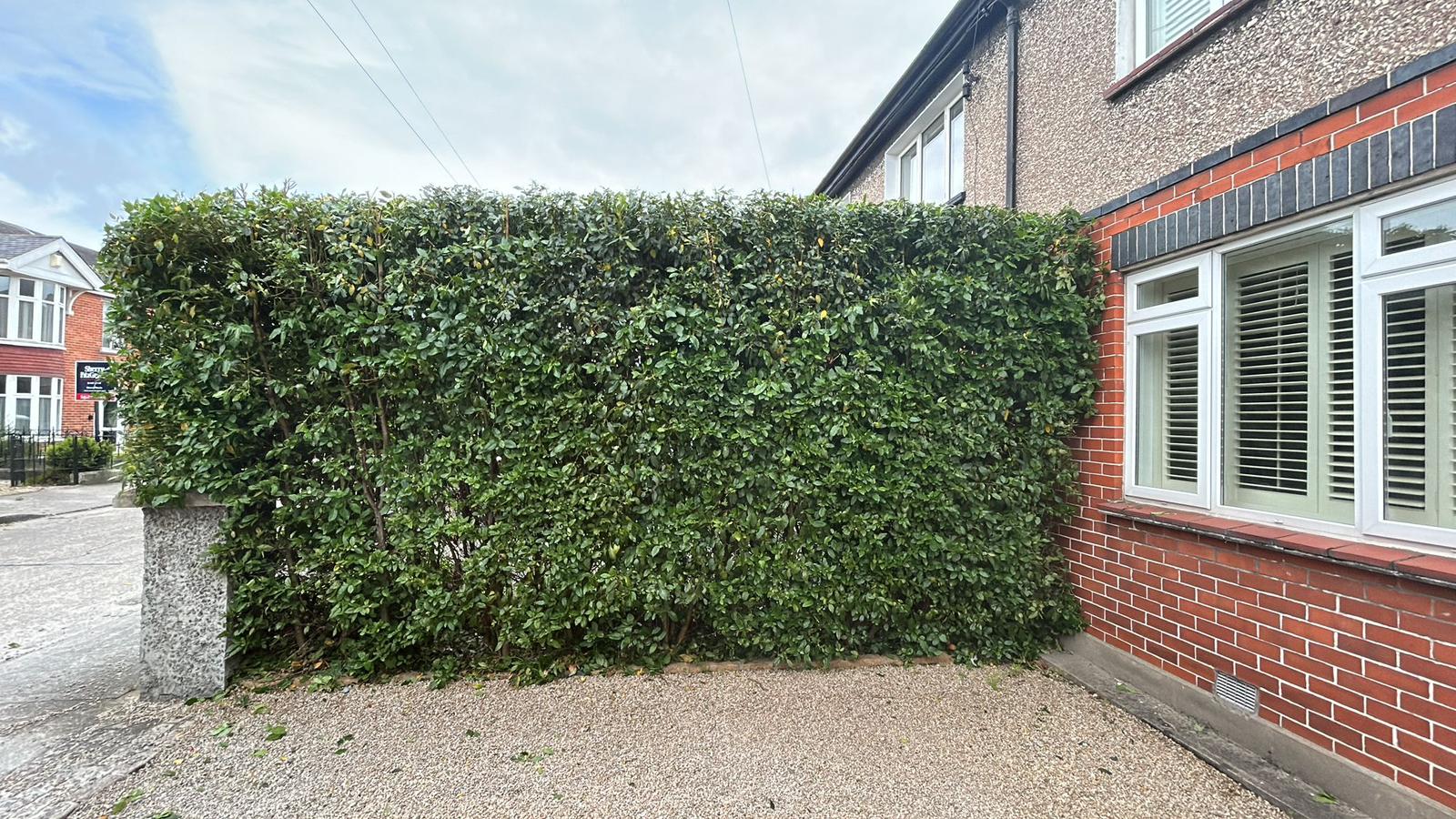 Front hedge, crisp finish