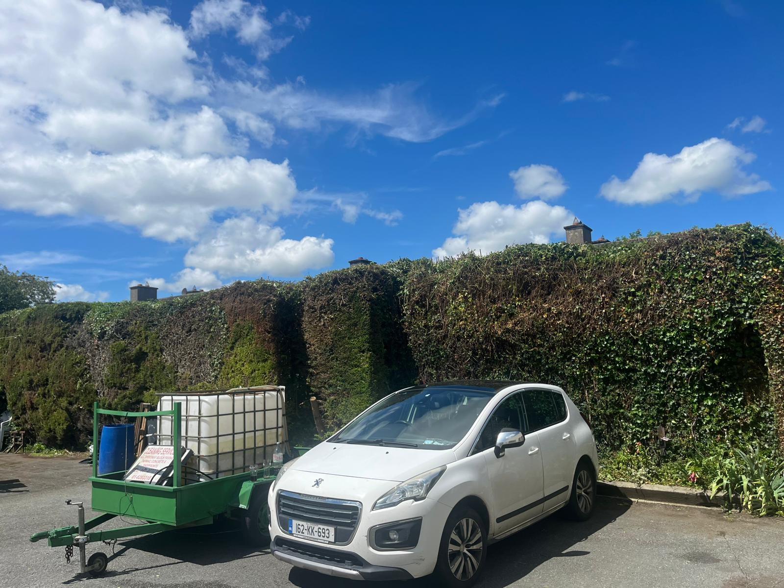 Boundary hedge reduced